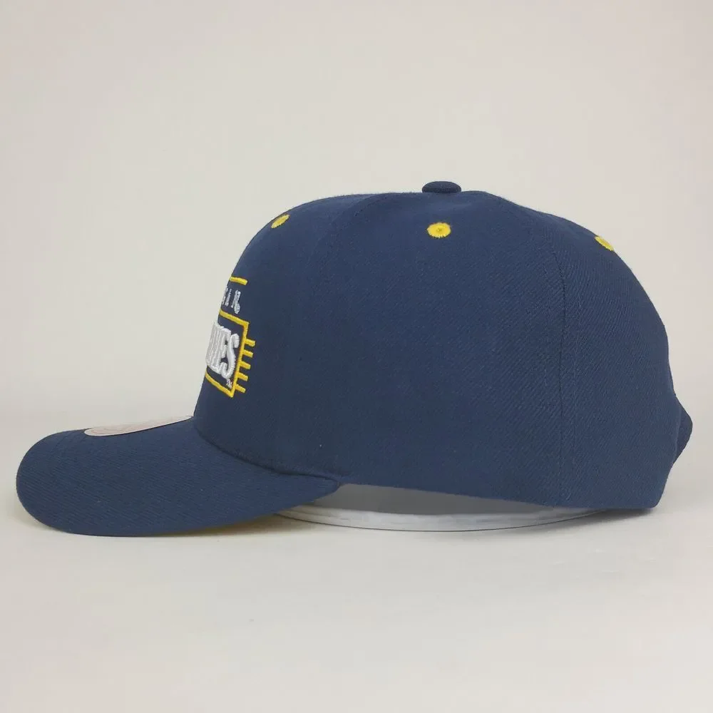 Michigan Wolverines Mitchell & Ness NCAA Pro Fit Snapback Hat Cap‎ 3D Logo NWT